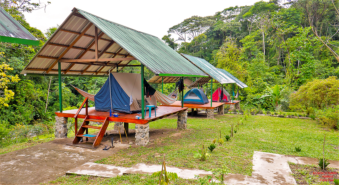 Glamping