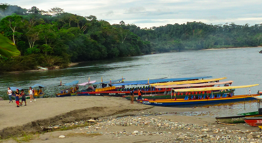 misahualli